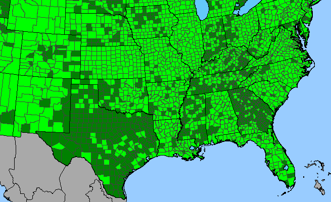 The range of Typha latifolia